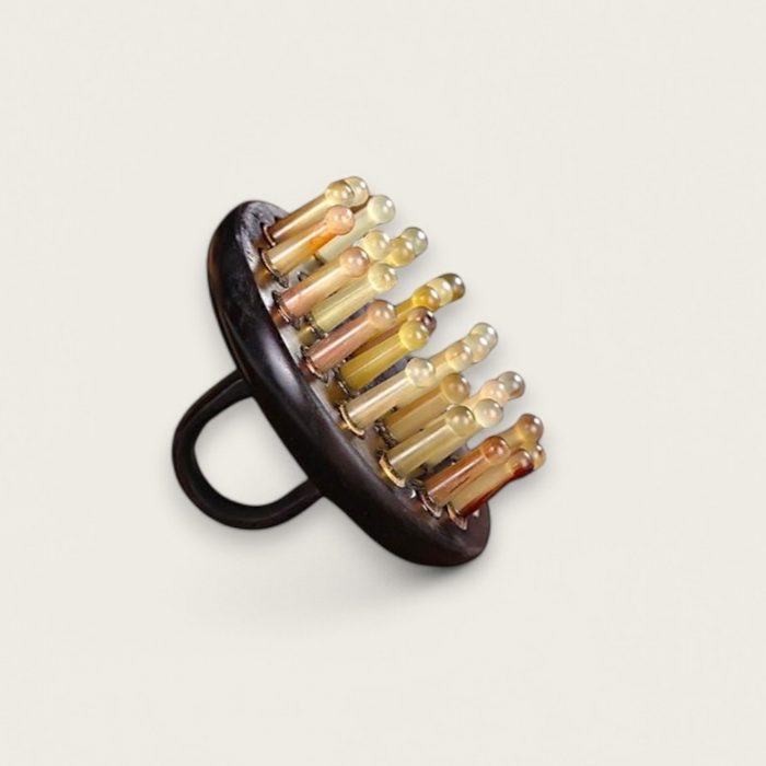 Brosse Plate en Corne de Vache – Image 1